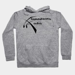 Extraordinary Audio Hoodie